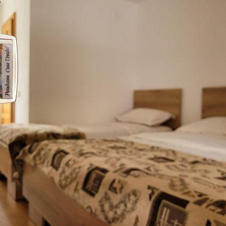 Casa Ursului Villa Vadu Motilor Dış mekan fotoğraf