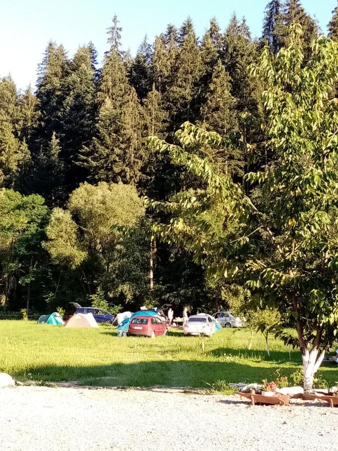 Casa Ursului Villa Vadu Motilor Dış mekan fotoğraf