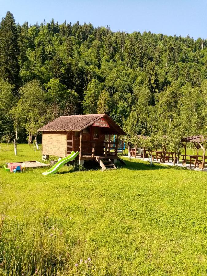 Casa Ursului Villa Vadu Motilor Dış mekan fotoğraf
