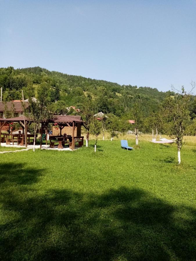 Casa Ursului Villa Vadu Motilor Dış mekan fotoğraf