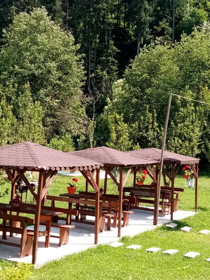 Casa Ursului Villa Vadu Motilor Dış mekan fotoğraf