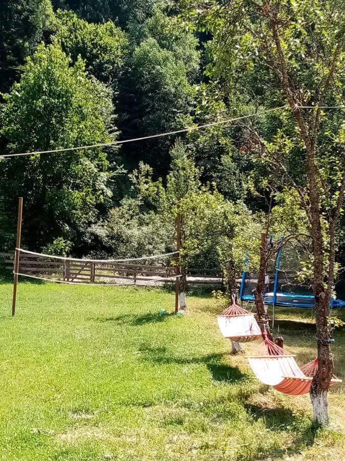 Casa Ursului Villa Vadu Motilor Dış mekan fotoğraf