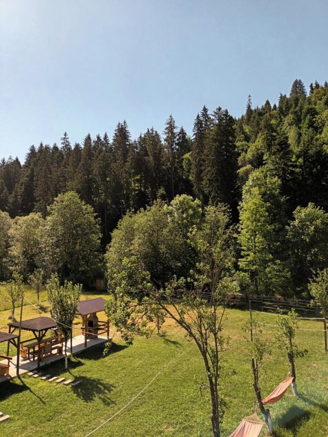 Casa Ursului Villa Vadu Motilor Dış mekan fotoğraf