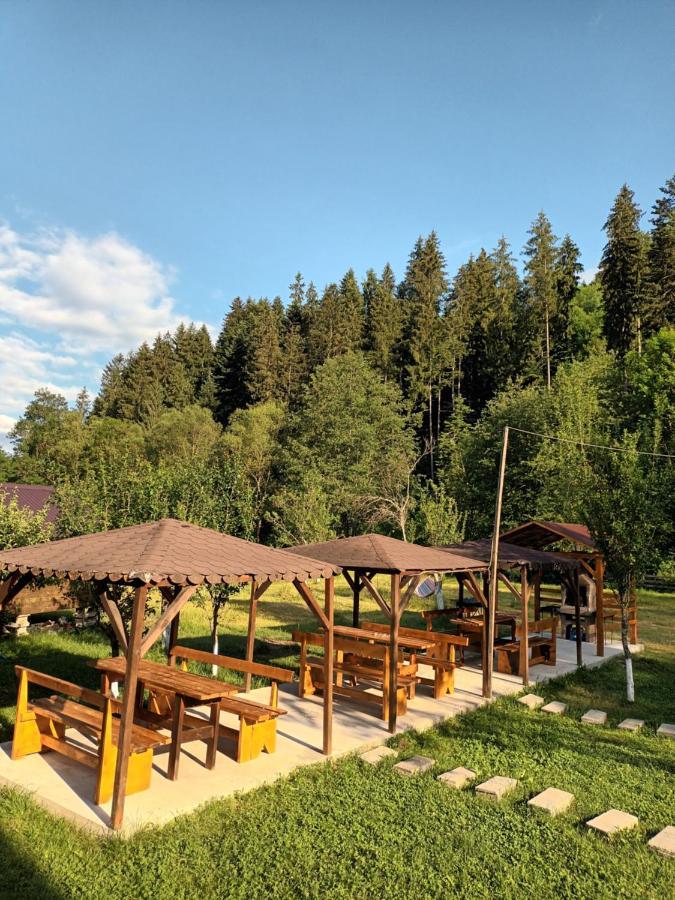 Casa Ursului Villa Vadu Motilor Dış mekan fotoğraf