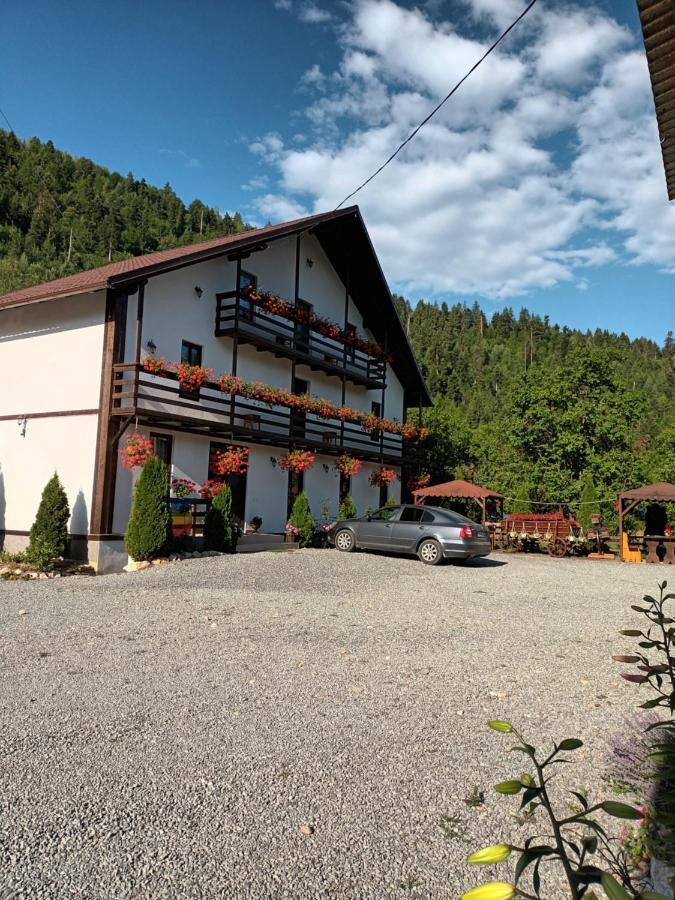 Casa Ursului Villa Vadu Motilor Dış mekan fotoğraf