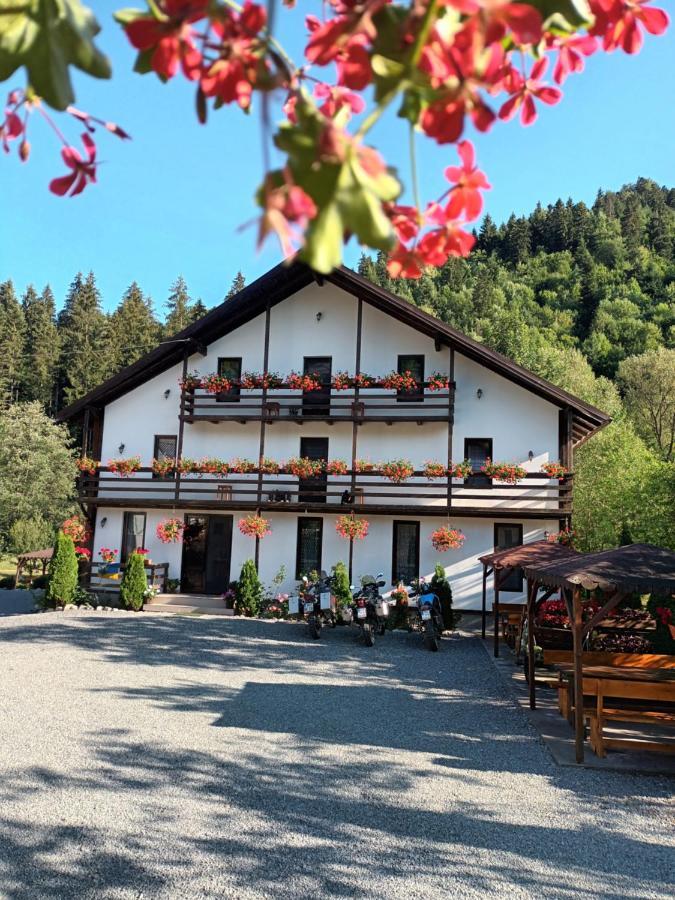 Casa Ursului Villa Vadu Motilor Dış mekan fotoğraf