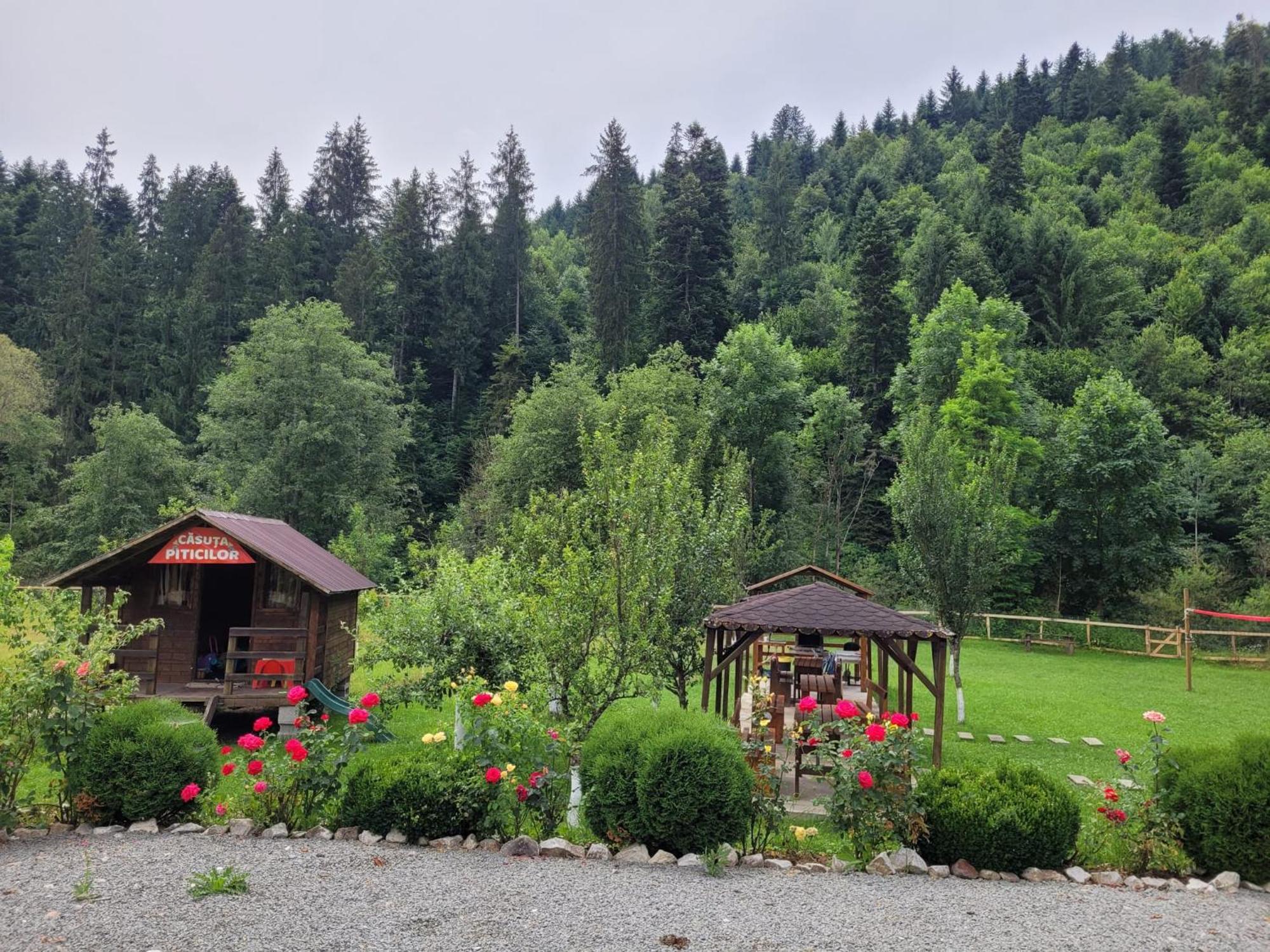 Casa Ursului Villa Vadu Motilor Dış mekan fotoğraf
