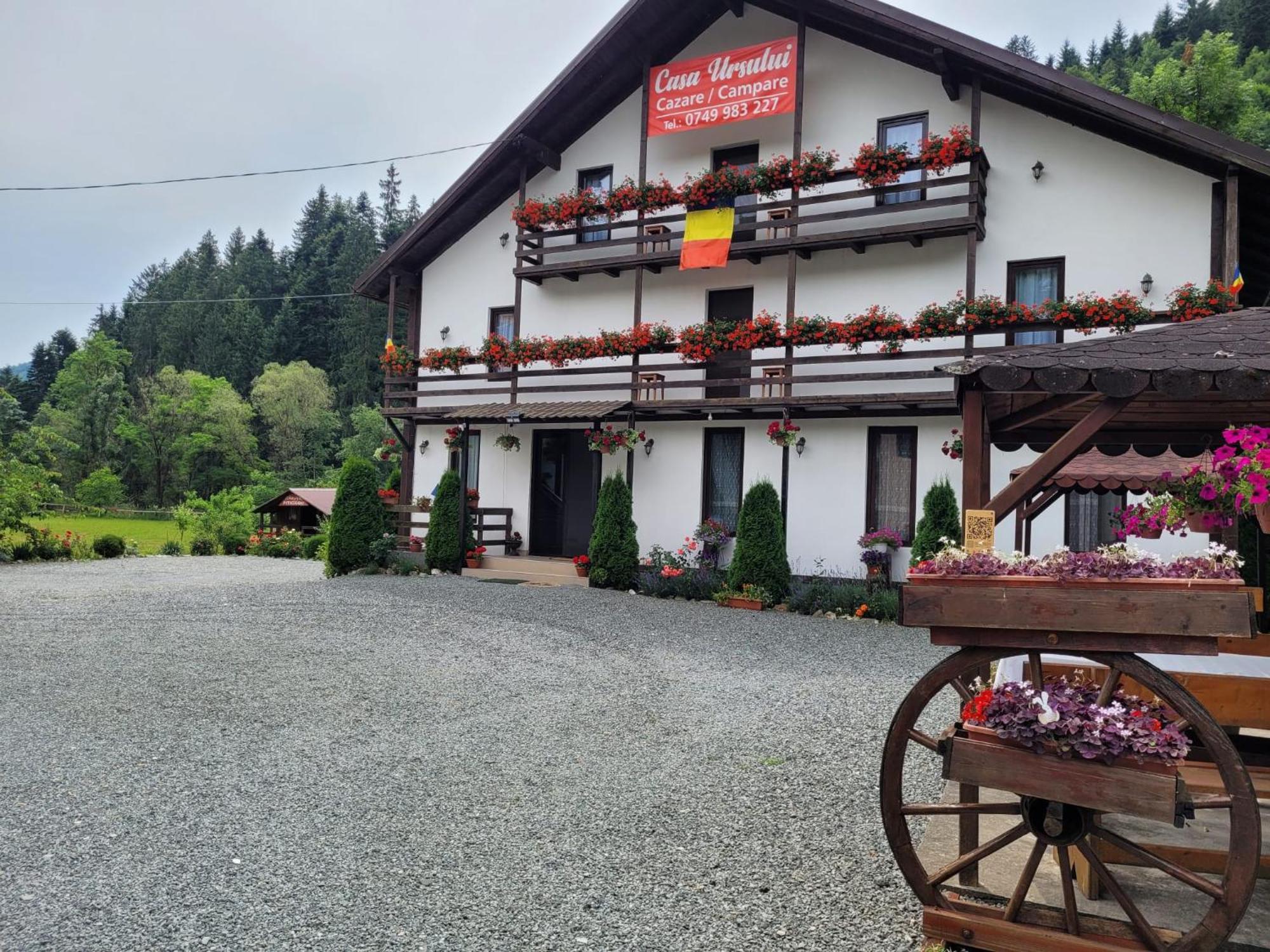 Casa Ursului Villa Vadu Motilor Dış mekan fotoğraf