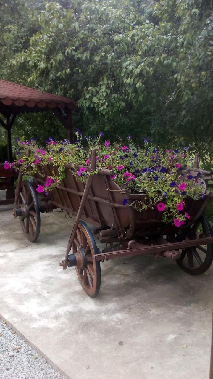 Casa Ursului Villa Vadu Motilor Dış mekan fotoğraf