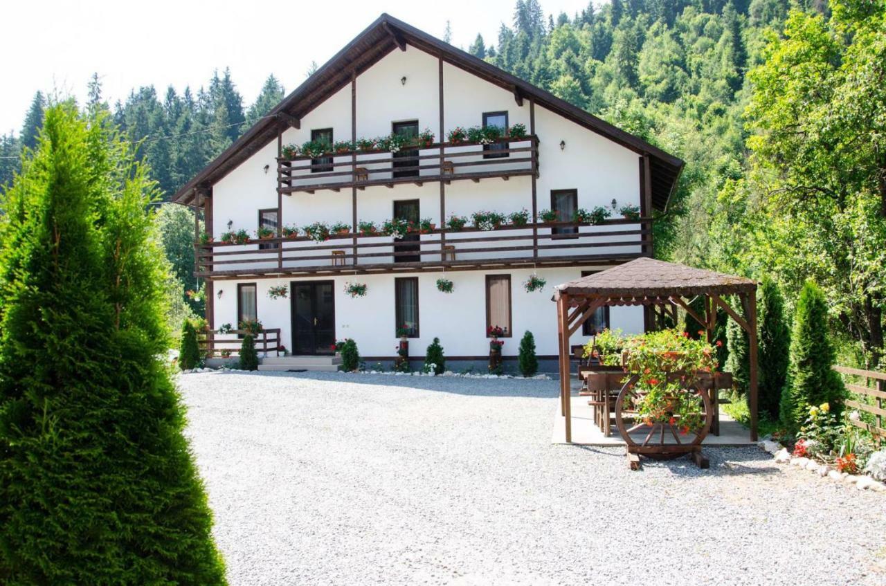 Casa Ursului Villa Vadu Motilor Dış mekan fotoğraf