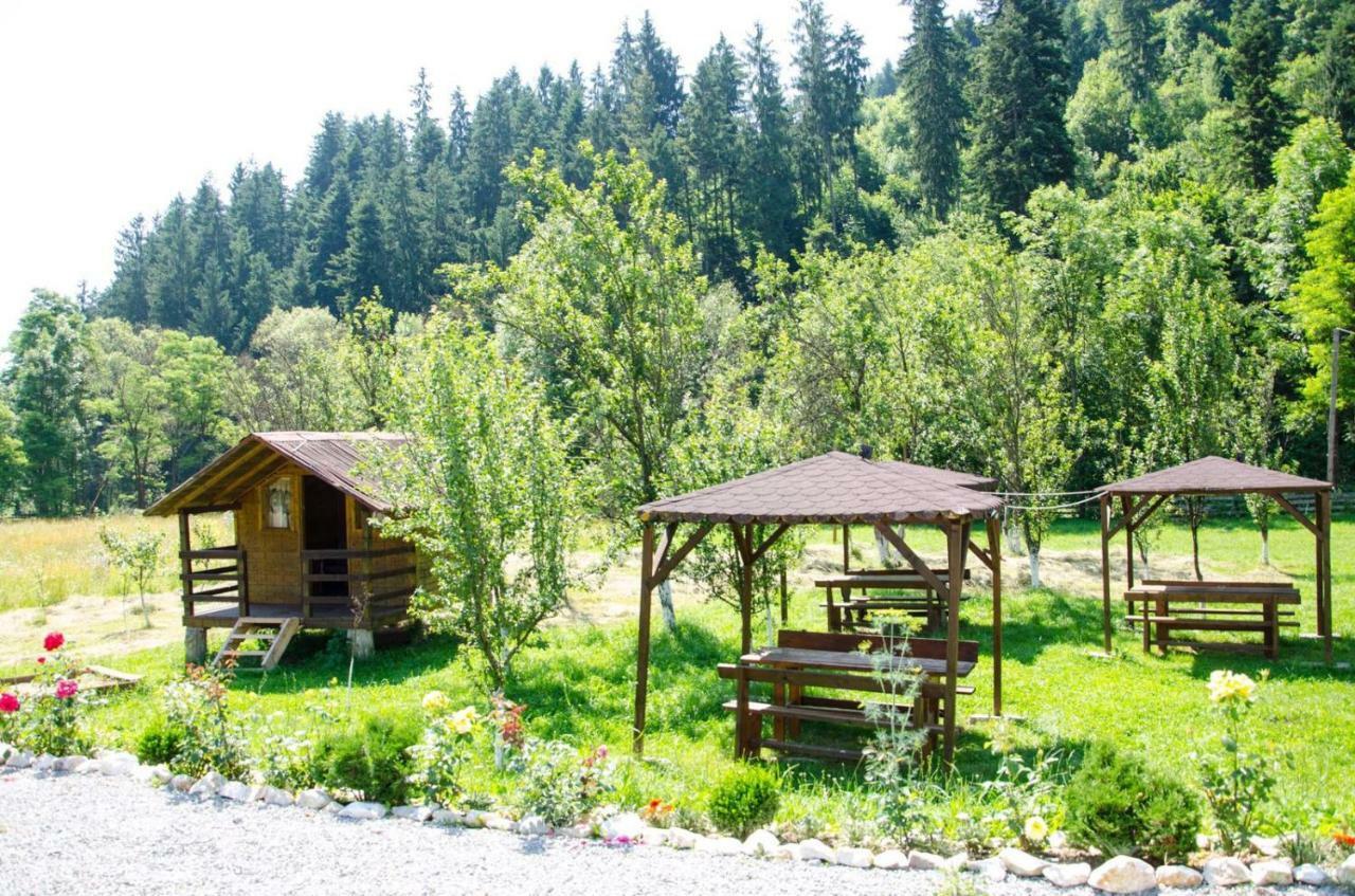 Casa Ursului Villa Vadu Motilor Dış mekan fotoğraf
